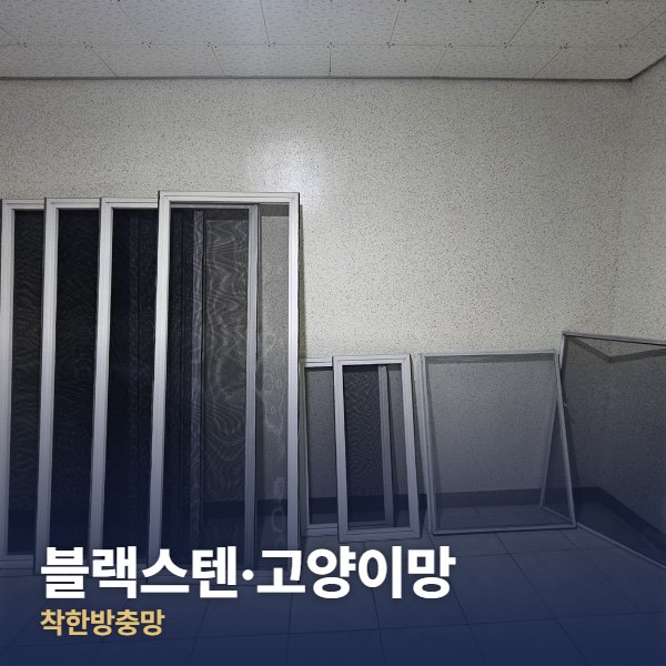 은평구 블랙스텐·고양이망
